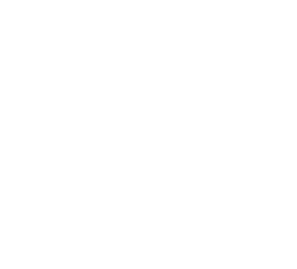 fslogo